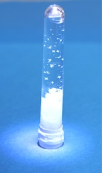 ���ɤ���Τμ�Ť���ʳؤ�����㶵���ֿ�������